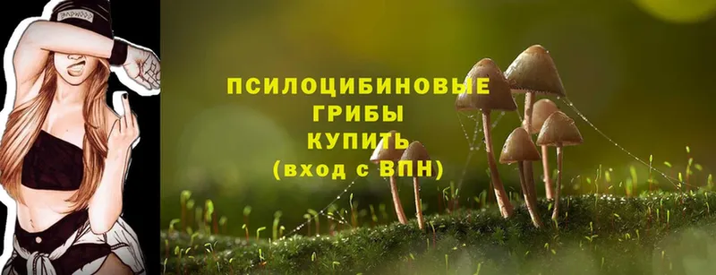 гидра как войти  магазин продажи   нарко площадка официальный сайт  Псилоцибиновые грибы Cubensis  Тетюши 